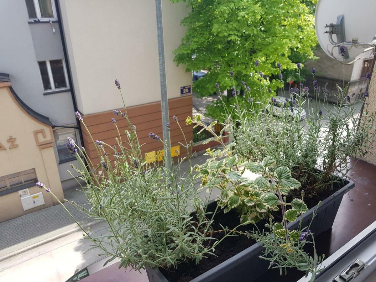 Przytulna I Przestrzenna Garsoniera- Centrum Tarnów Εξωτερικό φωτογραφία